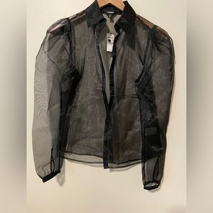 Express Sheer Poofy Sleeve Button Up Blouse